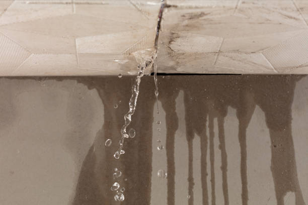 Professional Burst Pipe Cleanup technician working in Saint Paul, OR